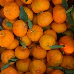 Meet your Posher, Tati